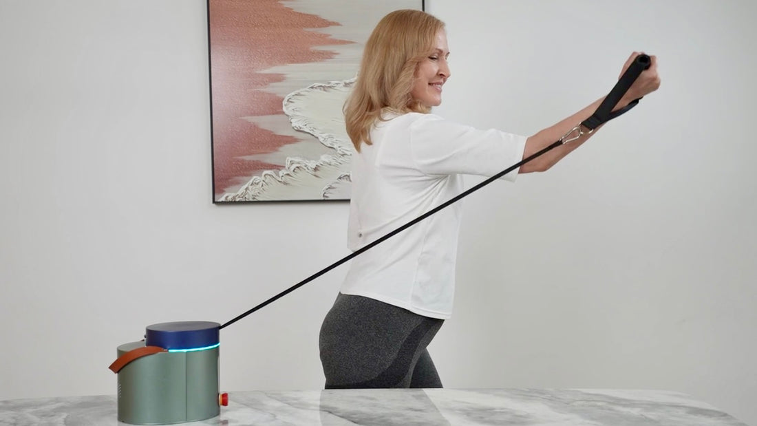 8 Best Back Exercise Equipment for Your Home Gym